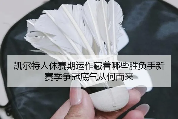 凯尔特人休赛期运作藏着哪些胜负手新赛季争冠底气从何而来 | kaiyun